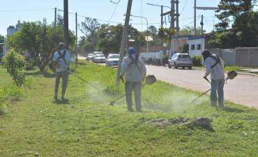 MUNICIPIO REALIZA MANTENIMIENTO DE LA CIUDAD Y ULTIMA DETALLES EN ESPACIO PÚBLICO DE USOS MÚLTIPLES 