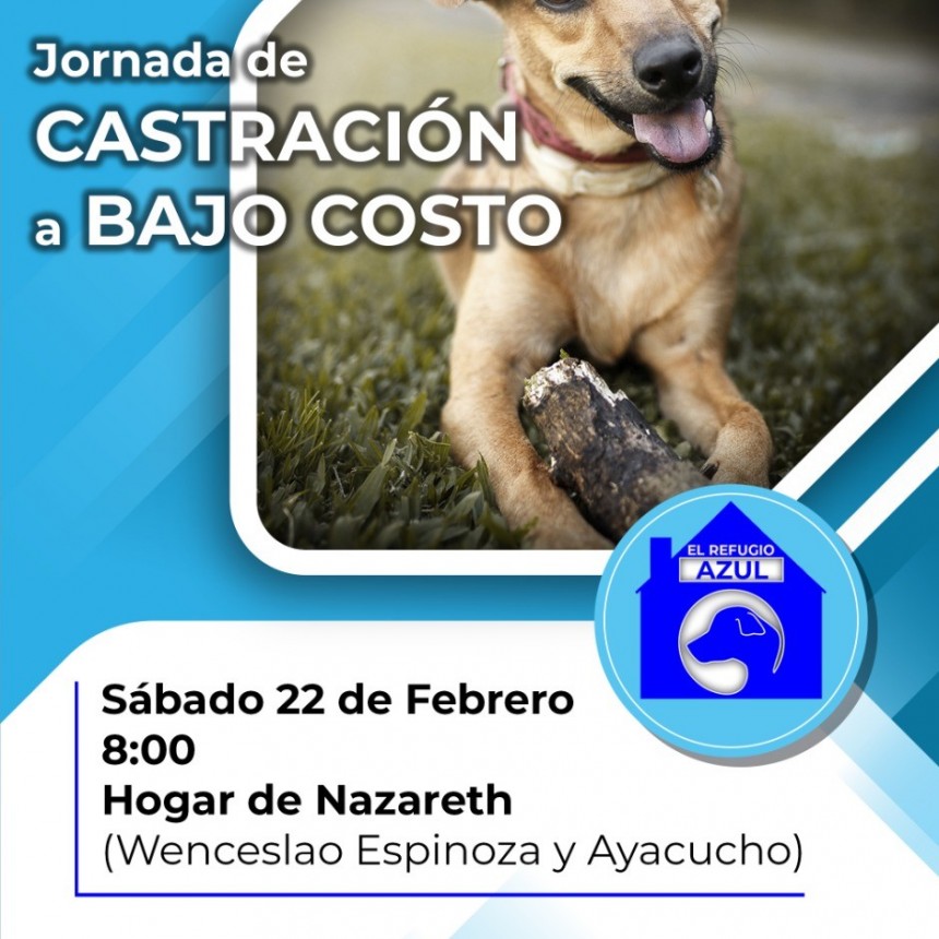 INICIAN NUEVAS JORNADAS DE CASTRACIÓN A BAJO COSTO