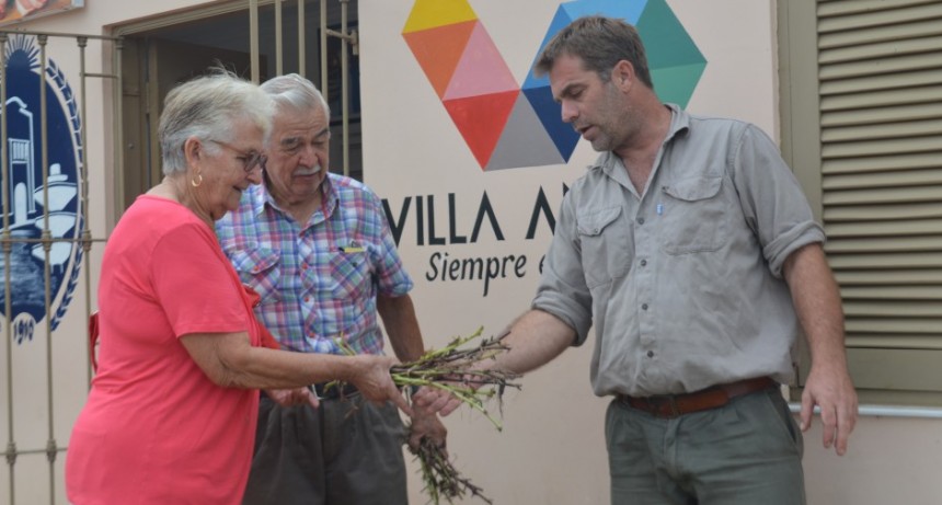 AGENCIA DE DESARROLLO LOCAL HACE ENTREGA GRATUITA DE ESTACAS DE BATATA