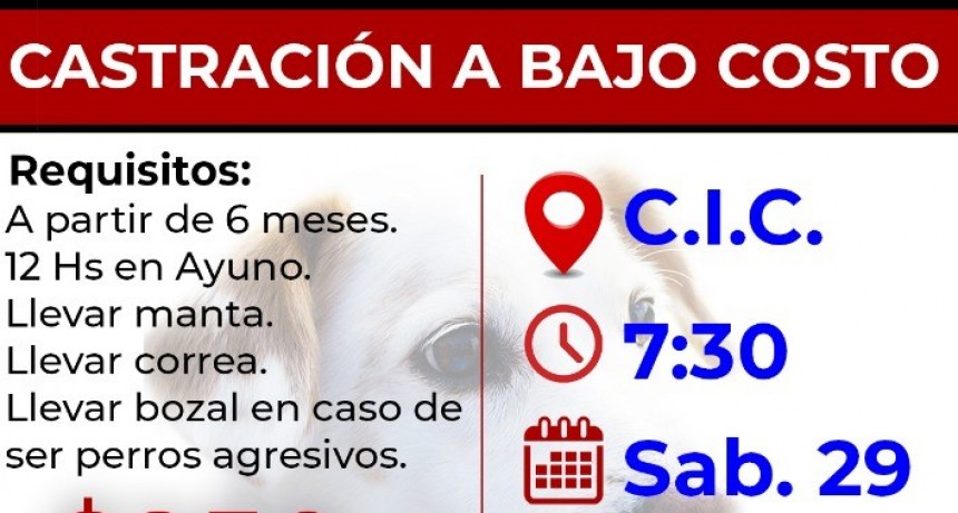 CON APOYO DEL MUNICIPIO SE REALIZARÁ ESTE SÁBADO UNA JORNADA DE CASTRACIÓN ORGANIZADA POR LA AGRUPACIÓN “LOS PERROS DE GRACE”