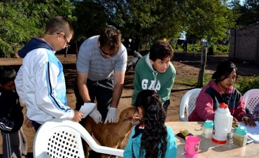 EL MUNICIPIO LANZÓ LA CAMPAÑA DE VACUNACIÓN ANTIRRÁBICA TOTALMENTE GRATUITA