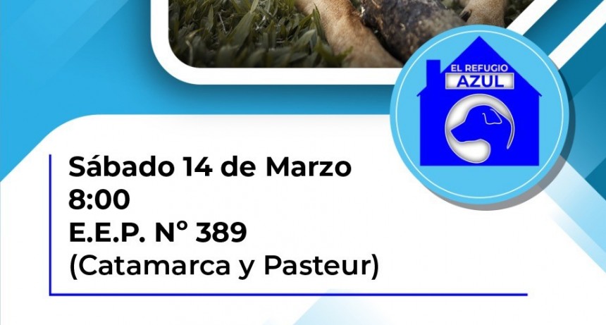 CONTINÚAN LAS JORNADAS DE CASTRACIÓN A BAJO COSTO