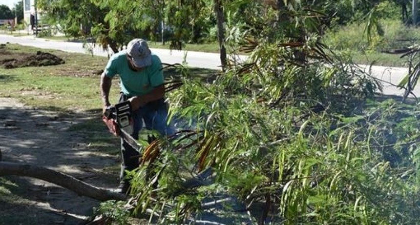 LA MUNICIPALIDAD REALIZARÁ 10 CUADRAS DE VEREDA EN AV. BITTEL