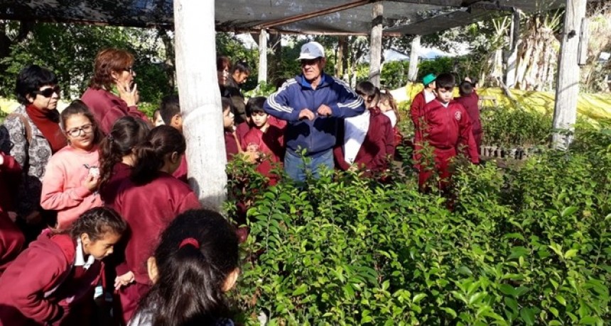 EL CENTRO DE PROMOCIÓN AMBIENTAL DEL MUNICIPIO RECIBIÓ LA VISITA DE ALUMNOS DE LA UEP N°33 DE GENERAL PINEDO