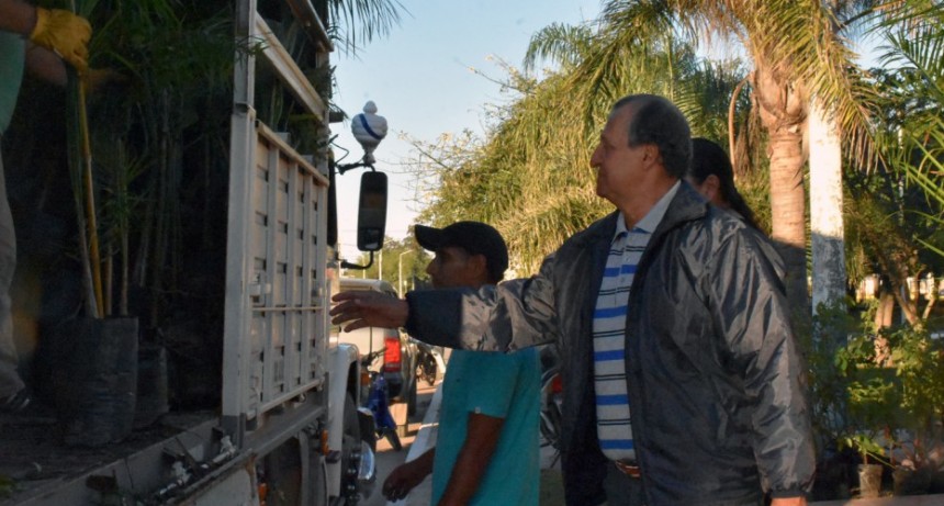 EL MUNICIPIO RECIBIÓ NUEVA PARTIDA DE PLANTINES