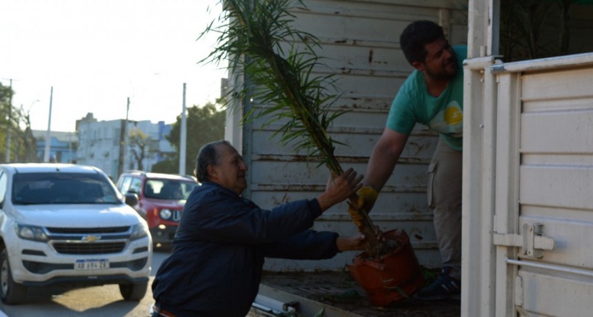 EL MUNICIPIO REALIZÓ PARQUIZADO EN ESPACIO VERDE DEL BARRIO 100 VIVIENDAS