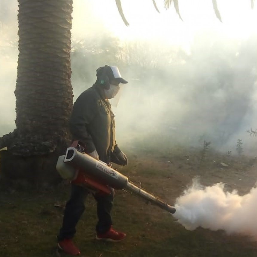 SECRETARÍA DE MEDIO AMBIENTE REALIZA DESCACHARRADO Y FUMIGACIÓN SECTORIAL POR CASOS POSITIVOS DE DENGUE