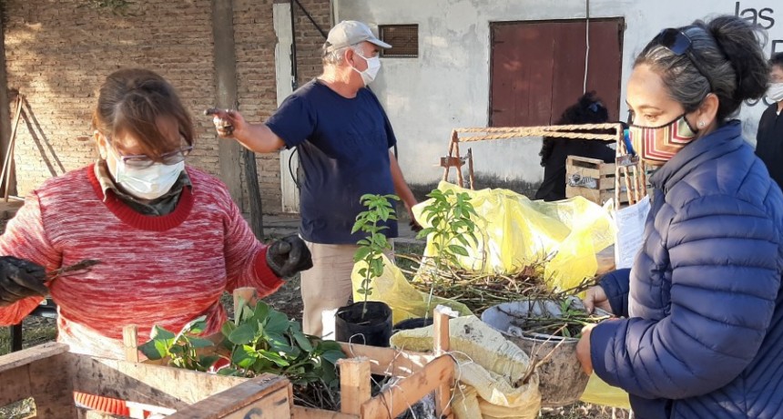 MAS DE 100 MIL UNIDADES: EL MUNICIPIO REALIZA LA TERCERA CAMPAÑA DE ENTREGA GRATUITA DE PLANTINES