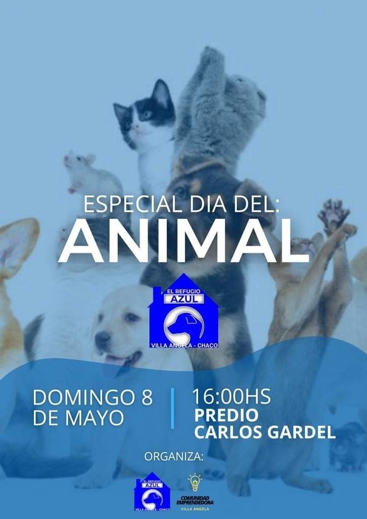 EL MUNICIPIO ACOMPAÑA FERIA EMPRENDEDORA ESPECIAL DÍA DEL ANIMAL