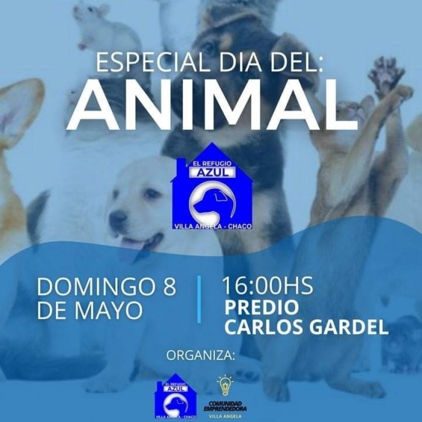 EL MUNICIPIO ACOMPAÑA FERIA EMPRENDEDORA ESPECIAL DÍA DEL ANIMAL