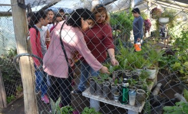 ALUMNOS DE LA ESCUELA N° 82 VISITARON EL CENTRO AMBIENTAL MUNICIPAL EN EL MARCO DE UN PROYECTO DE FORESTACIÓN
