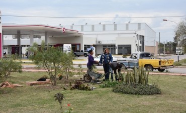 MEDIO AMIENTE TRABAJA EN LA RECUPERACIÓN DE ESPACIOS VERDES EN VILLA ÁNGELA