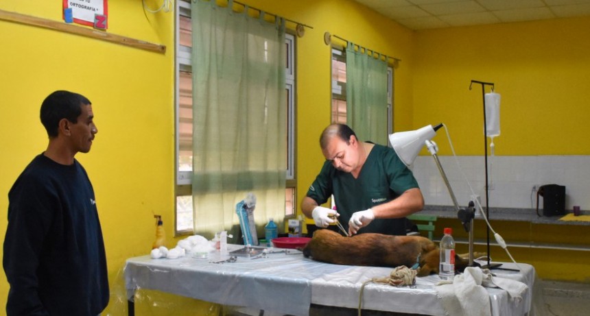 EL MUNICIPIO ACOMPAÑÓ LA CASTRACION A BAJO COSTO ORGANIZADA POR EL REFUGIO AZUL