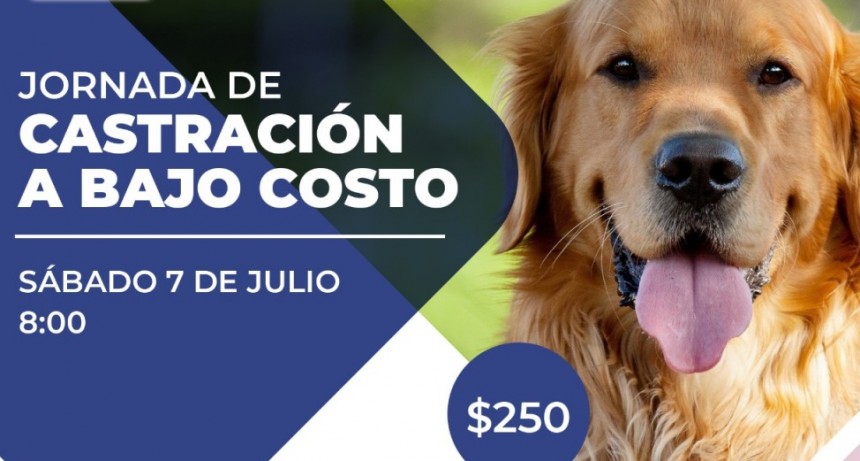 CON APOYO DEL MUNICIPIO, EL REFUGIO AZUL REALIZARÁ UNA JORNADA DE CASTRACIÓN EN LA ESCUELA N° 389 “DR. EDUARDO BATTIONI”