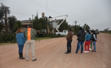 EL MUNICIPIO Y SECHEEP ARTICULAN LA PODA DE ÁRBOLES EN LA CIUDAD