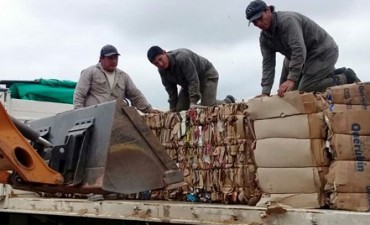 GIRSU VENDIÓ 18.520 KILOS DE CARTÓN Y PET PARA LA COMPRA DE MOLINO TRITURADOR