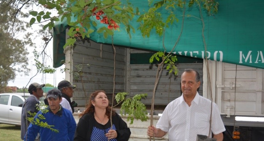 MUNICIPIO RECIBIÓ LA PRIMERA PARTIDA DE 430 PLANTINES PARA PARQUIZAR ESPACIOS PÚBLICOS DE VILLA ÁNGELA