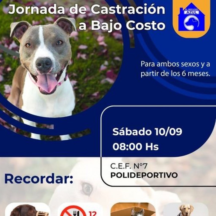 EL MUNICIPIO ACOMPAÑA LA 8° JORNADA DE CASTRACIÓN DE ANIMALES