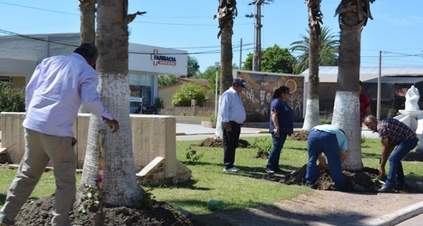 SECRETARÍA DE MEDIO AMBIENTE PLANTÓ 700 ÁRBOLES Y PLANTINES