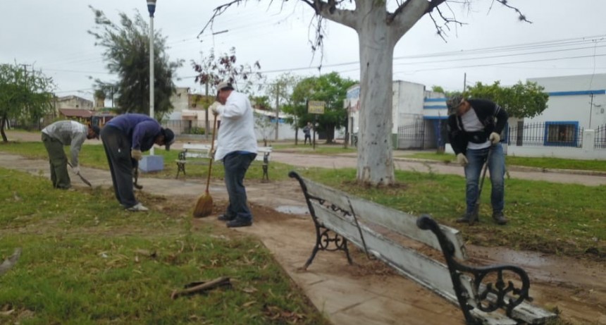 OBRAS PÚBLICAS Y MEDIO AMBIENTE INTERVENDRÁN EN EL PASEO DE LA MUJER