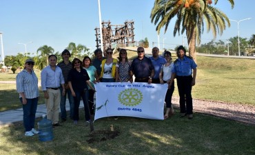 EL MUNICIPIO Y EL ROTARY CLUB CREAN CONCIENCIA SOBRE LA PLANTACIÓN DE ÁRBOLES EN VILLA ÁNGELA