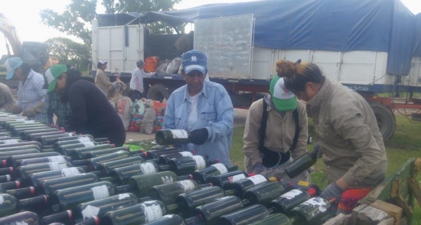 LA PLANTA GIRSU REALIZÓ LA VENTA DE 13 MIL BOTELLAS DE VIDRIO